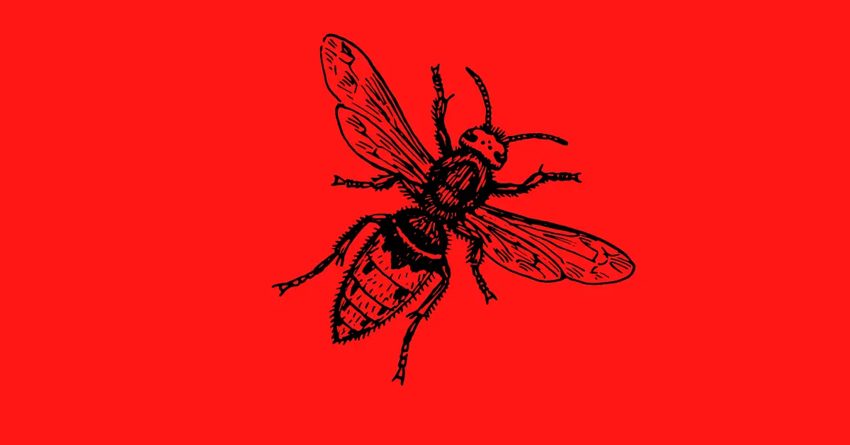 a vector image of a wasp