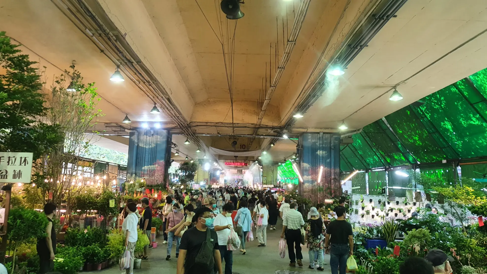 Jianguo Holiday Flower Market, taipei, taiwan