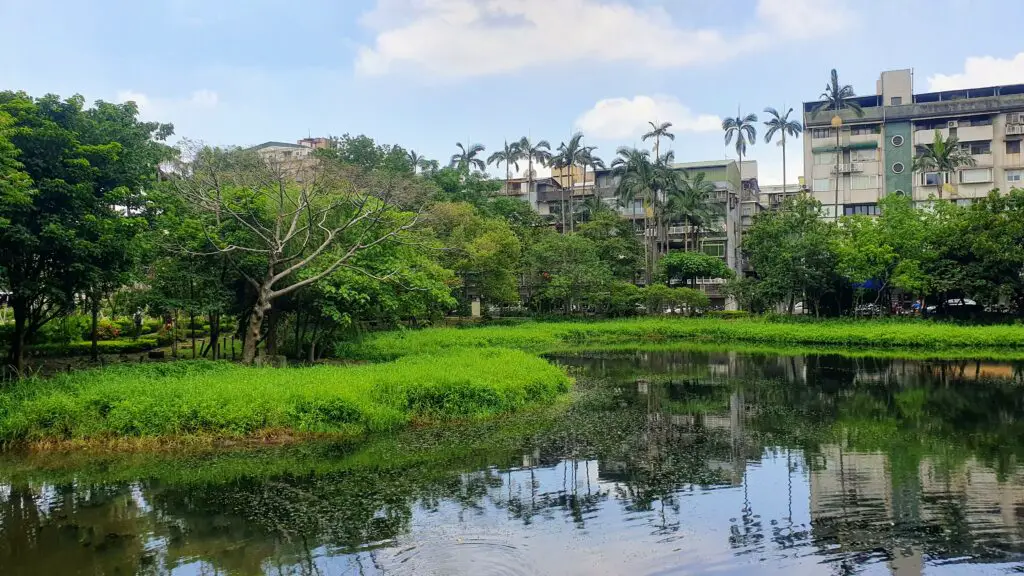ecological pond, songshan cultural park